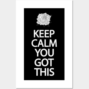 Keep calm you got this Posters and Art